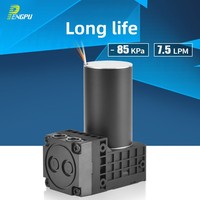 Pompe à vide micro PENGPU G7 24V/12V, électrique sans balais, haute pression négative, sans huile, pour gonflage et échantillonnage, usage industriel