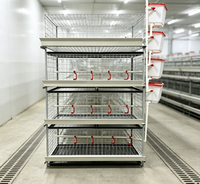 Cage à poulets à 2 portes, 4 couches, pour 80 oiseaux, fil de 2,8 mm, extra résistante