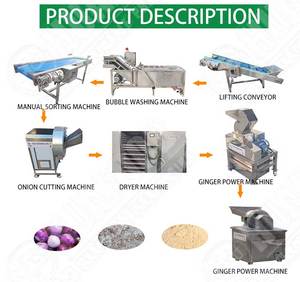Baiyu mesin lini produksi bubuk bawang putih jahe bawang putih bubuk jalur produksi - Product Image 5
