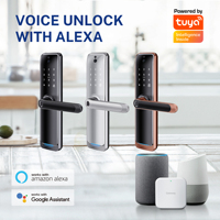 Serrure de porte intelligente numérique biométrique sans clé Liliwise Electronic Ttlock avec empreinte digitale, code, mot de passe, caméra Wifi