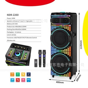 Dual 12 "12V14Ah Batería 100W 300W PMPO Home Theatre <span class=keywords><strong>Stereo</strong></span> Woofer Karaoke para Trolley Altavoces con 2 micrófonos inalámbricos - Product Image 2