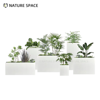Pot de fleurs carré en fibre de verre avec revêtement en poudre noire, bac à plantes, pot à bonsaï, 10 pièces, durable, écologique, pour l'extérieur, la maison, le jardin