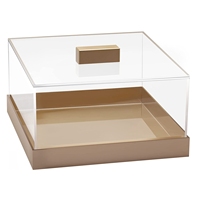 Plateau de rangement en acrylique multifonctionnel pour aliments avec couvercle Plateau de service rectangulaire Étui de rangement en acrylique pour buffet de fête et cuisine