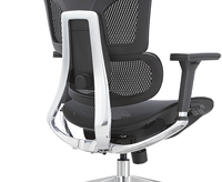 Chaise de bureau ergonomique en mesh avec soutien lombaire auto-adaptatif et dossier réglable pour bureaux de direction