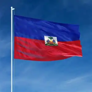 Пользовательский Печатный флаг гаитянского флага, полиэстер с латунными люверсами для помещений и улицы