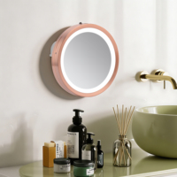 Usine En Gros Portable Voyage Hôtel LED Lumière Mur Monté Maquillage Cosmétique Miroir Ventouse Grossissant pour Salle De Bains