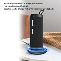 Precio bajo Inalámbrico Bluetooth Altavoces portátiles a prueba de agua IPX6 Fiesta al aire libre Uso Funciona con pilas Plástico Compatible Apple