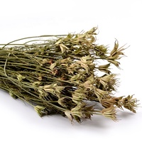 Bunga Kering Nigella untuk Dekorasi, Diawetkan Secara Alami, Biji Abadi, Rangkaian Bunga, Buket Pernikahan 60-70cm