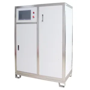Water Behandeling Ozonozongenerator 300G Ozongenerator Zwembad Waterbehandeling Machine Ozon Generator Voor Waterzuiveraar