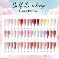 Polygels liquides OEM dans une bouteille vernis à ongles Gel UV vente en gros vernis à ongles gel 48 couleurs de marque privée