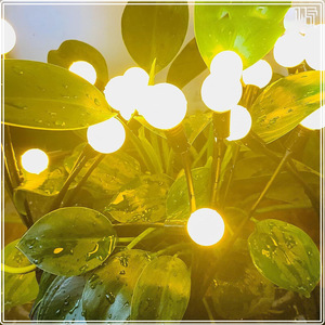 Aibo Solar <b>Firefly</b> Lamp Outdoor Garden Lawn Led <b>Light</b> Decoration Landscape Lighting For Courtyard Home Use - Product Image 2