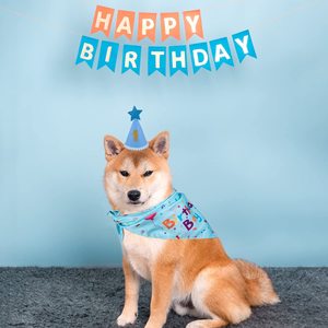 Set per Festa di Compleanno per Cani: Bandane Ecologiche Usa e Getta, Cappelli per Maschi e Femmine, Numeri, Bandiere e Palloncini per Animali Domestici - Product Image 5