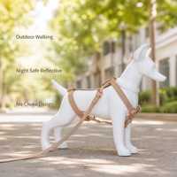 Harnais, collier et laisse pour chien en cuir PU, ensemble 3 pièces, anti-traction, boucle en métal réglable, pour chiens de petite et moyenne taille, accessoires pour promenades