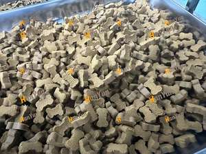 Иммунные добавки для собак, страдающие аллергией, для лечения аллергии на кожу и облегчения зуда с помощью лососевого рыбьего жира для собак - Product Image 3