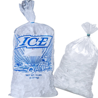 Sacs de rangement et d'emballage personnalisés en plastique réutilisables et jetables, fonctionnels, avec cordon de serrage, pour glacières rigides et glaçons