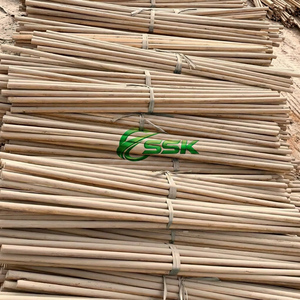 Venta al por mayor directa de fábrica de Vietnam: Palos de eucalipto natural, impermeables, portátiles, ligeros, para uso doméstico, a granel, vietnamitas. - Product Image 5