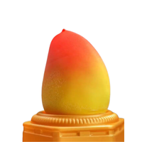 Vente en gros de glaces aux fruits de haute qualité (lychee, mangue, fraise, raisin) et de glaces au chocolat, en-cas exotiques