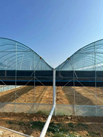 Serre Multispan agricole commerciale à faible coût avec système hydroponique de qualité supérieure rentable à vendre