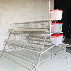 Abridor de puerta de aves de corral granja casa edificio jaulas de pollo accesorios un tipo capa jaulas <span class=keywords><strong>en</strong></span> batería <span class=keywords><strong>en</strong></span> <span class=keywords><strong>venta</strong></span> - Product Image 6