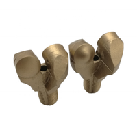 Forets de forage PDC personnalisés de haute qualité à 2 ailettes de 32 mm, grattoirs pour puits d'eau et mines de charbon