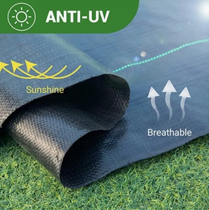 Bon prix Paillis en plastique contrôle de l'<span class=keywords><strong>herbe</strong></span> de jardin tissu <span class=keywords><strong>anti</strong></span>-<span class=keywords><strong>herbe</strong></span> couverture du sol tissé tissu de paysage géotextiles tissés - Product Image 5
