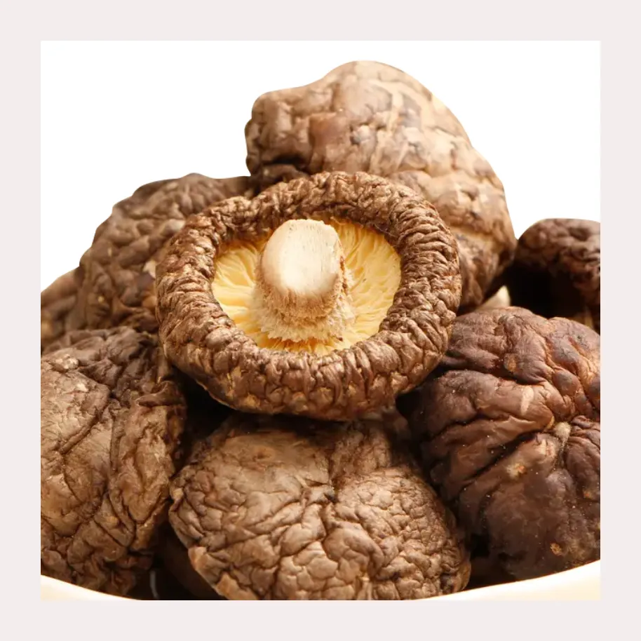 Seta Shiitake seca, producto Popular, seta Shiitake seca, a la venta