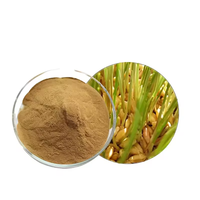 Poudre d'extrait de malt d'orge en gros de qualité alimentaire de haute qualité d'approvisionnement d'usine 99% extrait de malt