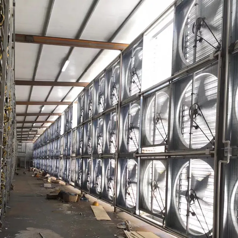 Büyük duvara monte endüstriyel sera fabrika havalandırma egzoz fanı 48 inç 50 inç 60 inç için kümes hayvanları, domuzcuk yuvası