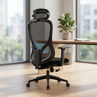 Chaises de bureau ergonomiques de luxe pour ordinateur, avec support lombaire, en maille respirante, pivotantes, pour cadres
