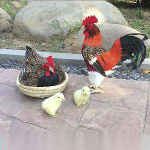 Adorno de Jardín, Gallo de Plumas, Accesorio de Fotografía, Modelo de Gallo Realista, Gallina Ponedora, Simulación de Gallina Grande - Product Image 4