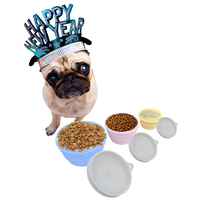 Accessoires pour animaux de compagnie Bols pliables en silicone pour chiens et chats Bol d'eau pour aliments pour animaux de compagnie Mangeoire pliable Ensemble de bols de voyage