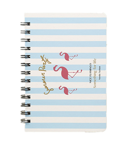 Grosir Pabrik 200/300/400/500 halaman garis Perancis buku catatan garis bergaris sekolah buku catatan 4x6 inci Notebook Spiral - Product Image 1