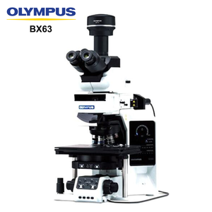 <span class=keywords><strong>Microscope</strong></span> fluorescent inversé à motorisation automatique <span class=keywords><strong>Olympus</strong></span> BX63 pour l'imagerie de cellules vivantes - Product Image 2
