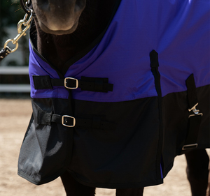 Phong cách mới tùy chỉnh ngựa turnout chăn ngựa Thảm đua ngựa - Product Image 5