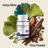 Capsules naturelles de magnésium avec supplément antioxydant d'extrait de Ginkgo Biloba pour la santé du cerveau et des émotions pour les adultes
