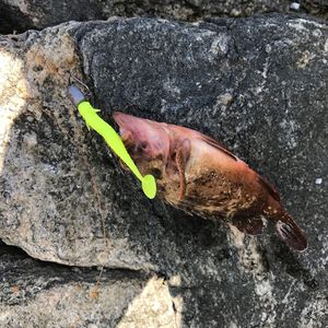 6 unids/bolsa T-tail Fly Fish señuelo suave 5cm/1g y 7,5 cm/2G zapatilla de agua dulce bajo mandarín pez biónico Fishbait - Product Image 6