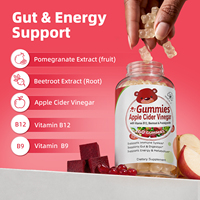 Gummies Détox au Vinaigre de Cidre de Pomme (ACV) OEM, Brûleur de Graisse Pur Naturel Végétalien 1000mg ou Gummies au Vinaigre de Cidre de Pomme