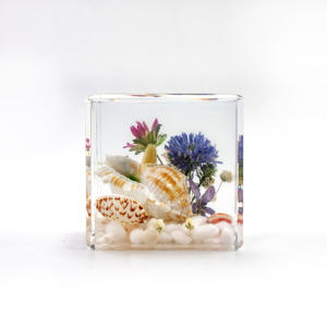 60Mm Kubushars Ornamenten Ambachten Met Echte Bloem Plant Specimen Oceaanschelp Hars Presse-Papier Voor Persoonlijke Geschenken Huisdecoratie - Product Image 5