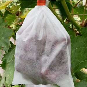 农业聚丙烯非织造纺粘材料卷无纺布袋水果保护袋芒果香蕉葡萄袋 - Product Image 1