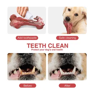 Tize Bestseller Natur kautschuk Hundes pielzeug Kau knochen Unzerstörbares Hundes pielzeug