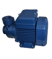 Pompe de surpression électrique auto-amorçante haute pression PK60 220V 0,5-1 CV pour usage domestique, pompe de surpression pour robinet, pompe de circulation pour chauffage