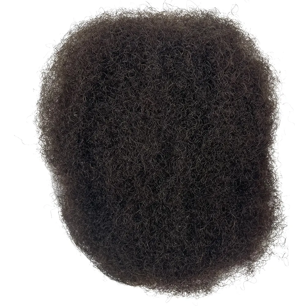 Brasilia nisches Haar Afro Kinky Hair Bulk jungfräuliches menschliches Haar für Dreadlocks Extensions