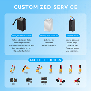 340Wh/kg 10C 솔리드 스테이트 3.7V 22.2v 44.4v 51.8v 6S 8S 12S 14S 18S 24S 산업 드론 EVTOL 13000mAh LiPO 배터리 팩 - Product Image 3