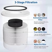 Filtre de remplacement HEPA H13 H14 professionnel OEM/ODM pour purificateur d'air, filtre à charbon actif pour l'élimination des odeurs et des squames d'animaux Levoit