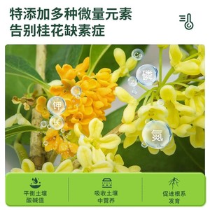 Fertilizante Específico para Osmanthus, Compuesto Granular NPK para Plantas de Jardín, Promueve la Floración y la Salud de las Hojas - Product Image 5
