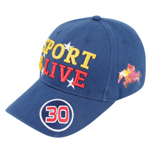 Get $1000 coupon custom baseball cap hat,customized sports cap hat,sports caps and hats