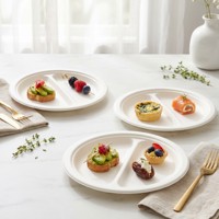 XS-YP9G3 Suikerrietbagasse 3-delige biologisch afbreekbare borden Wegwerp servies Luxe feestborden voor verjaardagen
