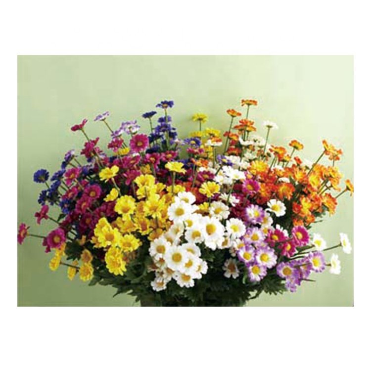 Zebulun пользовательская 3D линзовидная живопись Настенный декор ПЭТ 40*30 см 5D 3D печать линзовидной хризантемы плакат для рекламных подарков