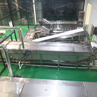 China Oorsprong Havery Voedselverwerkende Machine Voor Het Blancheren Van Aardappel, Broccoli, Pinda 'S, Vruchten, 300-2000 Kg/u Capaciteit