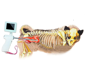 MSG06 pistolet d'inincation visuelle canine portable, facile à utiliser, <span class=keywords><strong>prix</strong></span> le plus bas, <span class=keywords><strong>pour</strong></span> l'élevage de chiens - Product Image 1